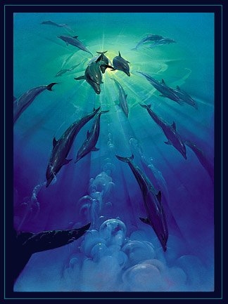 Unencumbered by possessions territory and the dimensions that garivty and space impose, the dolpfin moves about his environment with a freedom few other creatures possess. As I was rising from a wreack in the outer Bahama Islands, I actually saw this amazing scene for a few brief seconds, and was left with its indelible memory